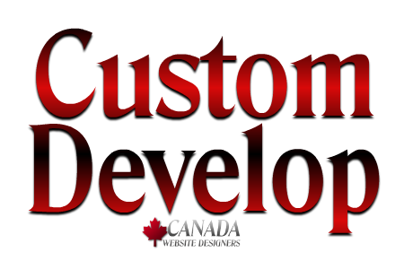 Custom Development 2020